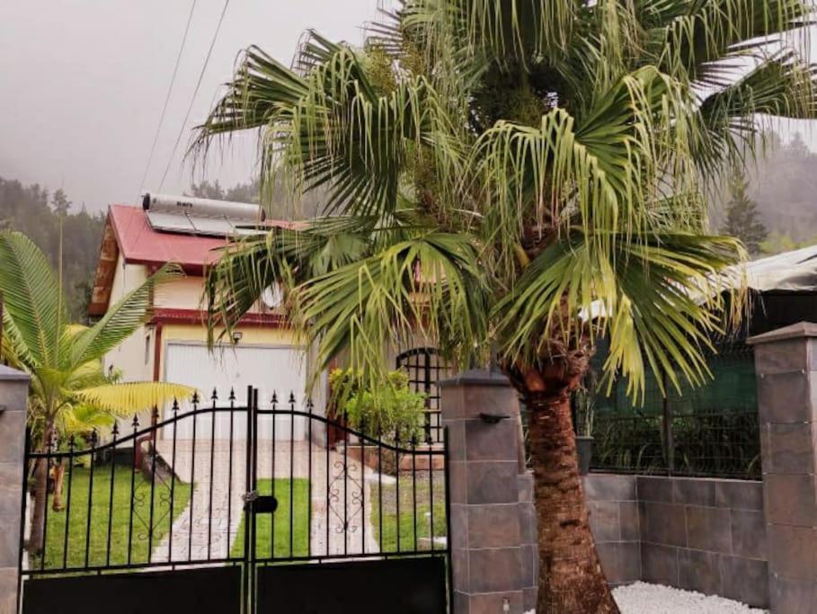 Charmante Maison Au Coeur Des 3 Montagnes Salazie Exterior foto